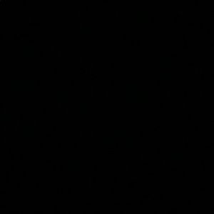 Meet your Posher, Ben